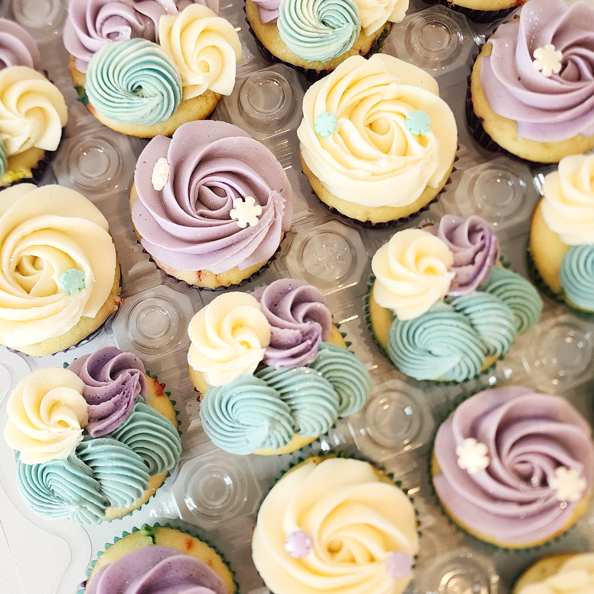 Pastel decorated custom cupcakes by Ellie Mae's Bakery