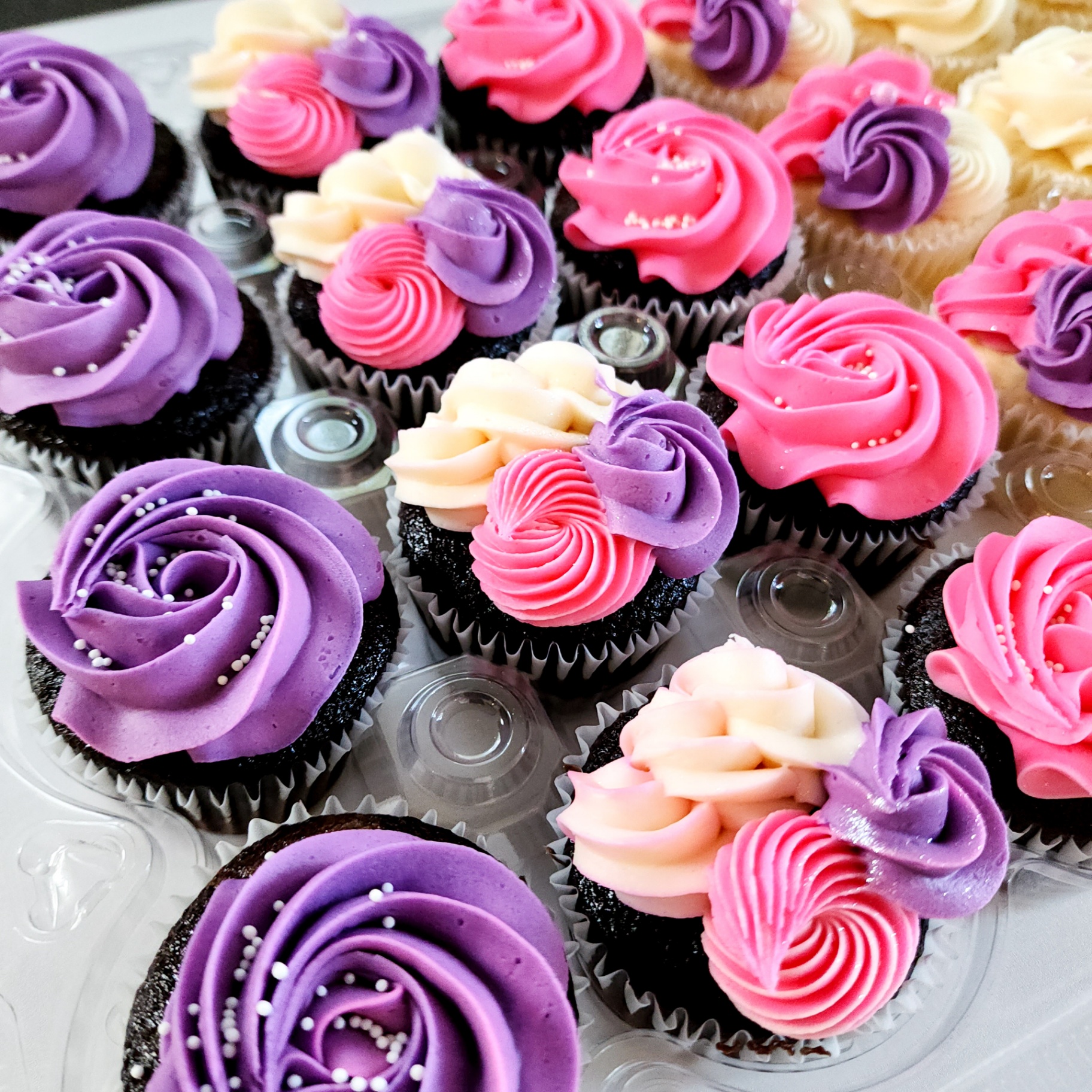Pink, purple, and cream rosette-piped buttercream cupcakes